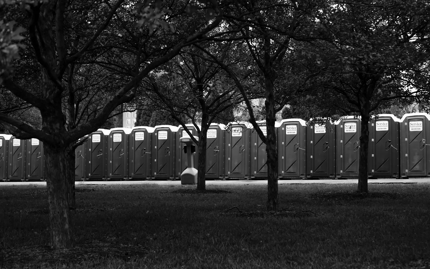 Portable toilets placed on grass beside trees at an outdoor venue