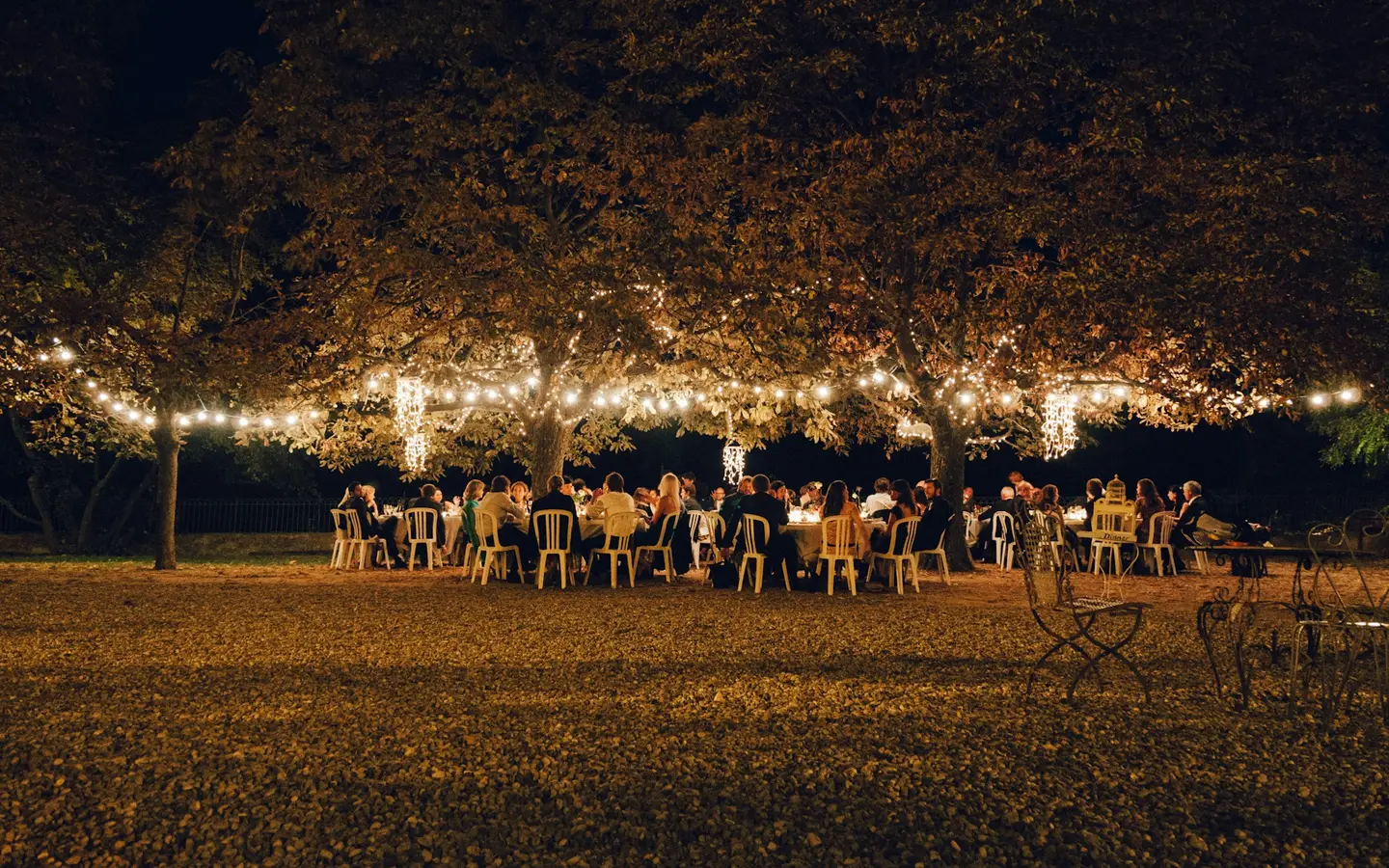 Guests seated under trees strung with warm lights at an outdoor reception